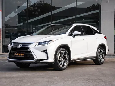 2016 Lexus RX 300 4WD Elegance Edition (China V), фото 1, лот 10395436