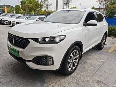 2020 WEY VV6 2.0T 2WD Smart Enjoy+, фото 1, лот 11518749