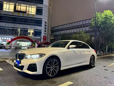 2021 BMW 3 Series Facelift 320Li M Sport Package, фото 2, лот 11140442