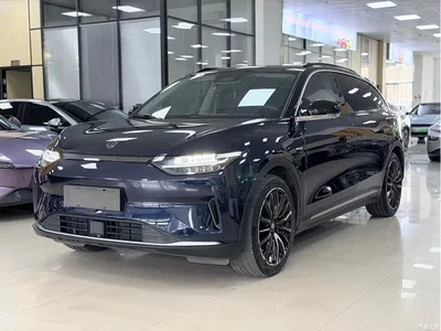 2021 Leapmotor C11 Facelift Luxury Edition, фото 1, лот 10315986