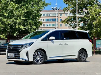 2021 GAC Trumpchi Trumpchi M8 Leading Show Series 390T Prestige Edition, фото 1, лот 11008046