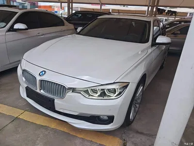 2018 BMW 3 Series 320Li Fashion Style, фото 1, лот 10457723