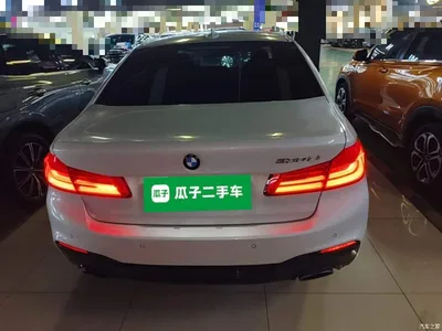 2020 BMW 5 Series 530Li Leading M Sport Package, фото 4, лот 11518430