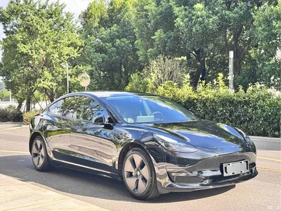 2022 Tesla Model 3 Model Rear-Wheel Drive Version, фото 3, лот 10369022