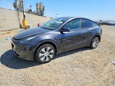 2024 TESLA MODEL Y, фото 1, лот 10852496