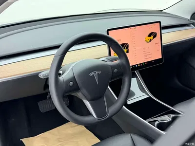 2020 Tesla Model 3 Facelift Long Range Rear-Wheel Drive, фото 4, лот 10356990