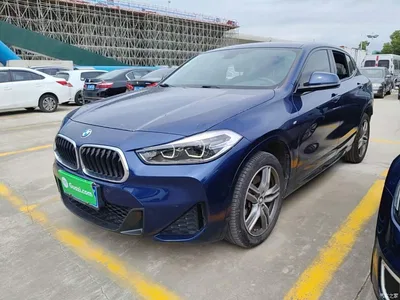 2020 BMW X2 sDrive25i Leading M Sport Package, фото 1, лот 10382194