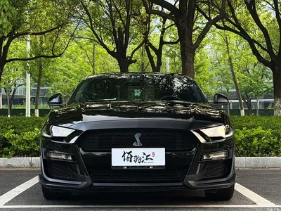 2019 Ford Mustang 2.3L EcoBoost, фото 2, лот 10442862