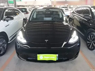 2022 Tesla Model Y Rear-Wheel Drive Version, фото 3, лот 11089578