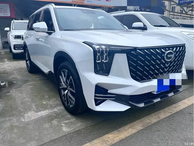 2022 GAC Trumpchi Trumpchi GS8 Pilot Series 2.0TGDI AWD Ultimate Edition (7-Seater), фото 3, лот 10419781