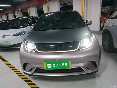 2021 BYD Dolphin Model 405km Fashion Edition, фото 3, лот 11177579