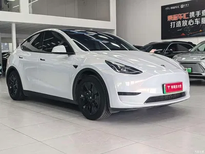 2022 Tesla Model Y Rear-Wheel Drive Version, фото 3, лот 10765598