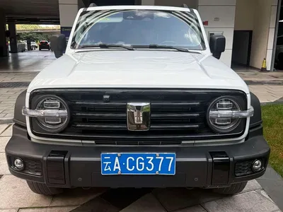 2024 Tank 300 Model 2.0T Challenger, фото 2, лот 10611031