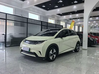 2023 BYD Dolphin 420km Fashion Edition, фото 1, лот 10254707