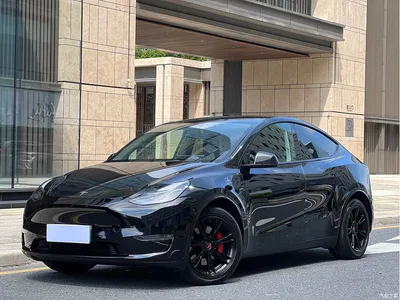 2021 Tesla Model Y Standard Range Rear-Wheel Drive, фото 1, лот 11090391