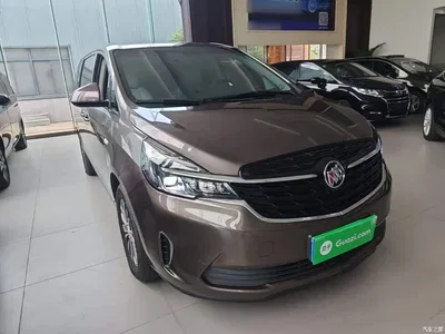 2020 Buick GL8 Model Land Business Class 652T Luxury, фото 4, лот 11179546