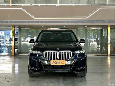 2023 BMW X5 xDrive 30Li Premium M Sport Black Night Package, фото 2, лот 10397961