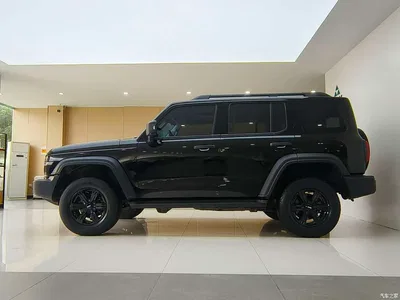 2021 Tank 300 Off-road Edition 2.0T Challenger, фото 4, лот 10390974