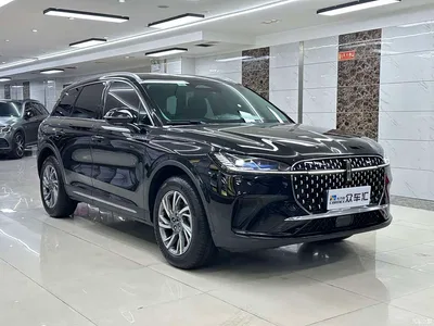 2023 Lincoln Adventurer 2.0T 2WD Zunxiang Edition, фото 3, лот 10357824