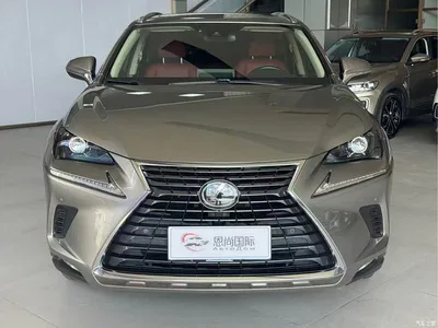 2020 Lexus NX 200 AWD F Sport China VI, фото 2, лот 10318786