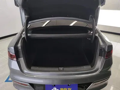 2024 BYD Qin PLUS Glory Edition DM-i 55KM Leading, фото 4, лот 10364034