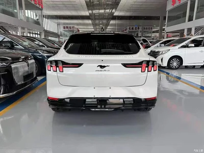 2021 Ford Mustang Mach-E Boundless RWD Luxury (Long Range), фото 3, лот 10620670