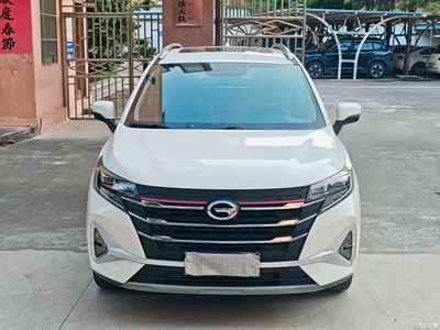 2021 GAC Trumpchi Trumpchi GS3 POWER 270T Auto Enjoy Edition, фото 2, лот 10417212