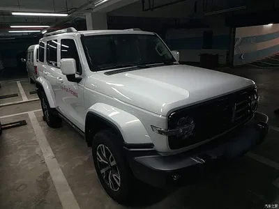 2024 Tank 300 2.0T Explorer, фото 4, лот 10345628