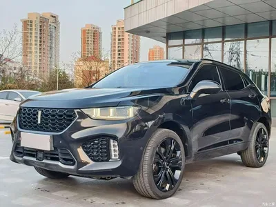 2017 WEY VV5 2.0T Flagship Model, фото 1, лот 10456652