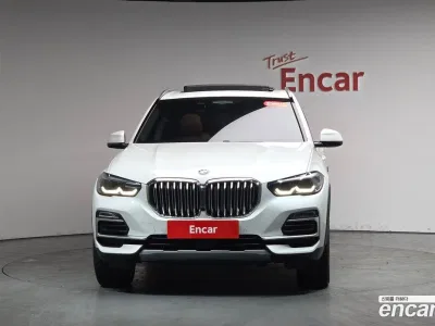 2019 BMW X5 xDrive 30d xLine, фото 2, лот 10130932