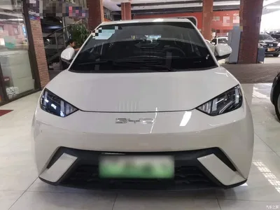 2024 BYD Seagull Glory Edition 305km Vitality Edition, фото 3, лот 10812798