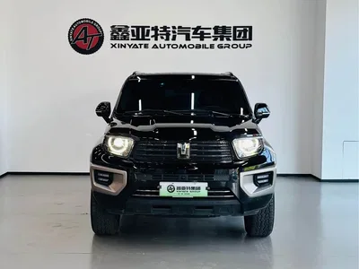 2024 Tank 700 New Energy Hi4-T Extreme Edition, фото 3, лот 10344436