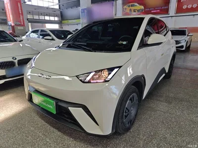 2024 BYD Seagull Glory Edition 305km Vitality Edition, фото 1, лот 10262775
