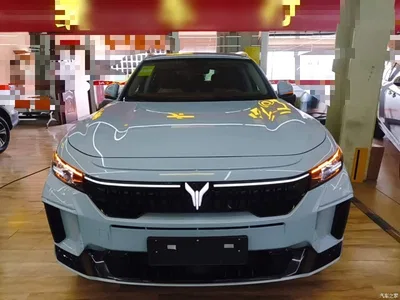 2024 Voyah Auto VOYAH FREE Ultra Long Range Intelligent Driving Edition, фото 3, лот 11583764