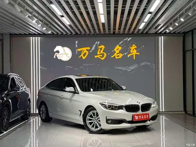 2016 BMW 3 Series GT 320i Fashion Style, фото 3, лот 10473562