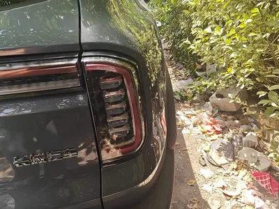 2021 Haval Big Dog 1.5T DCT 2WD Labrador Edition, фото 3, лот 10629569