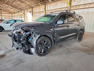 2025 HYUNDAI PALISADE XRT, фото 1, лот 10751913