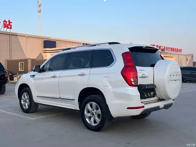 2020 Haval H9 2.0T Gasoline 4WD Premium 5-Seater, фото 4, лот 10282202