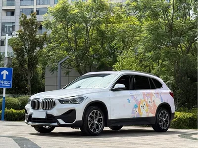 2022 BMW X1 sDrive25Li Leading, фото 1, лот 10413699