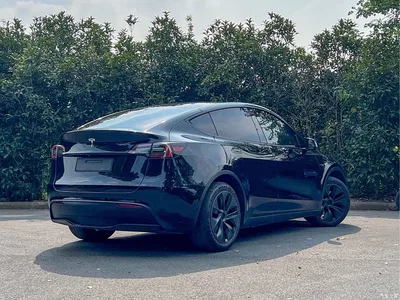 2023 Tesla Model Y Rear-Wheel Drive Edition, фото 4, лот 10594377