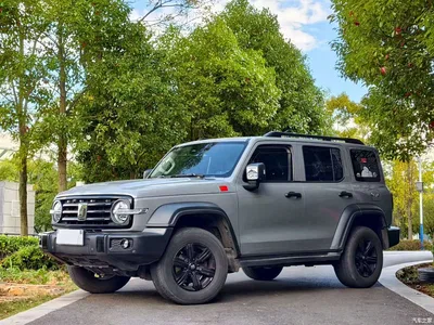 2021 Tank 300 Off-road Version 2.0T Conqueror, фото 1, лот 11247786