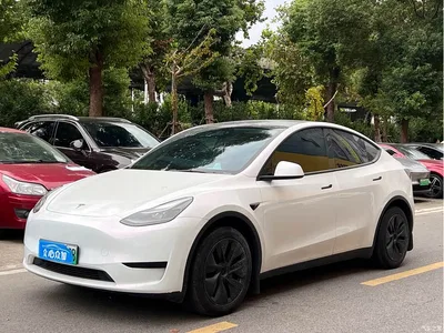 2024 Tesla Model Y Rear-Wheel Drive Version, фото 1, лот 10899894