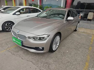 2018 BMW 3 Series 320Li Fashion Style, фото 2, лот 10457993