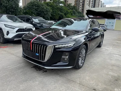 2025 Hongqi H5 1.5T DCT Flag Rhythm 500,000 Units Memorial Edition, фото 1, лот 10287758