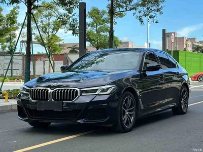 2021 BMW 5 Series 530Li Leading M Sport Package, фото 1, лот 11096445