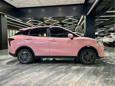 2022 Nezha Auto Nezha V Trend 400 Lite Pink Custom Edition, фото 4, лот 10823948