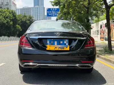 2019 Mercedes-Benz S-Class S 350 L Luxury Ultimate Edition, фото 4, лот 10253783