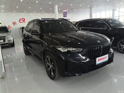 2025 BMW X5 Model xDrive 30Li Exclusive M Sport Blackout Package, фото 3, лот 10442917
