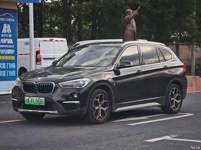 2019 BMW X1 New Energy xDrive25Le Luxury, фото 1, лот 10475366