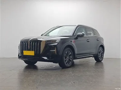 2023 Hongqi HS5 2.0T Flag Enjoy Pro Edition, фото 1, лот 10286976